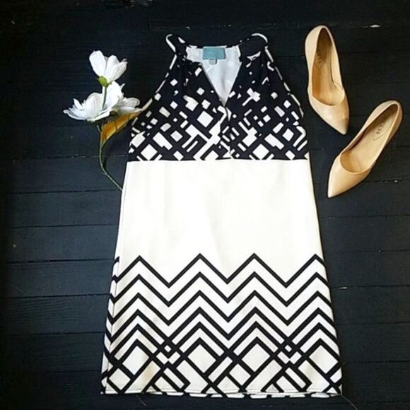 Anthropologie Shift Dress  - Picture 1 of 8